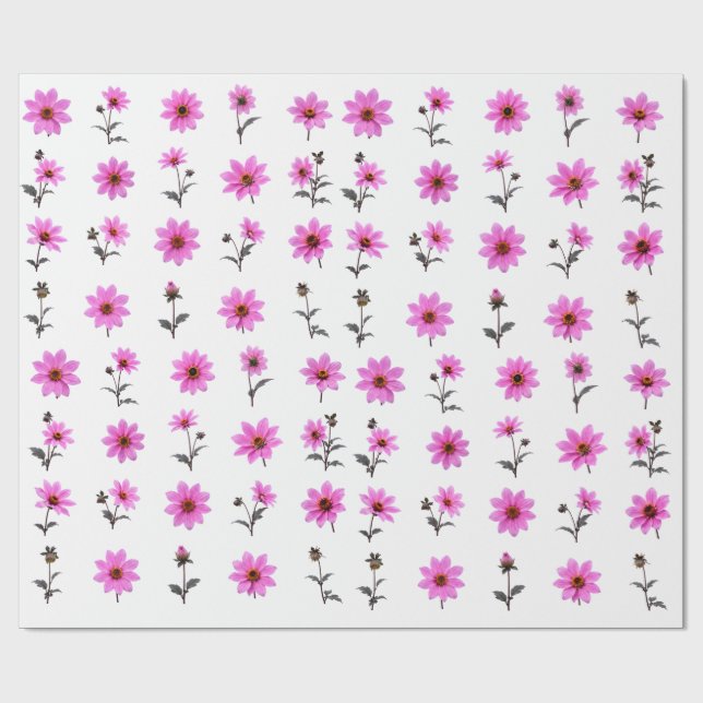 Papel De Presente Conjunto Botânico de Flor de Cosmos Rosa Suave Flo (Aberto)