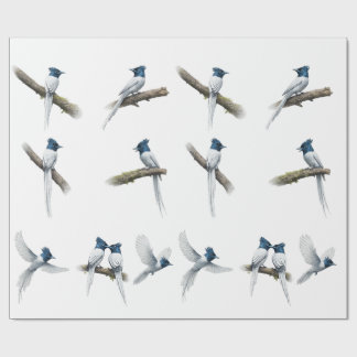Papel De Presente Conjunto de pássaros asiáticos Paradise Flycatcher