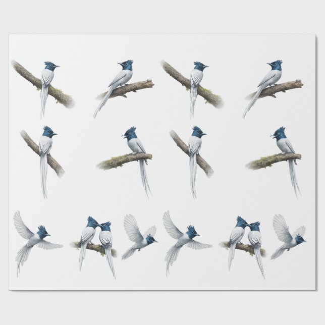 Papel De Presente Conjunto de pássaros asiáticos Paradise Flycatcher (Aberto)