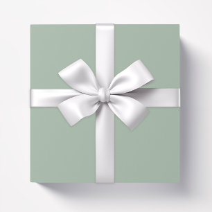 Papel De Presente Cor sólida Sage Mist verde comum