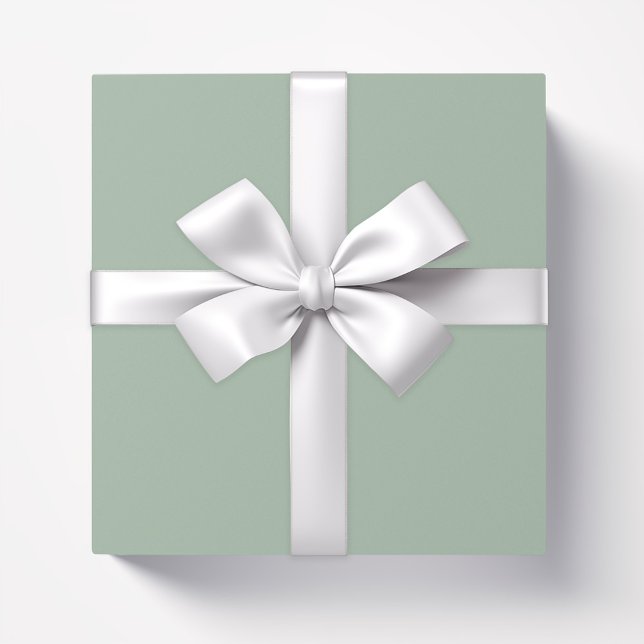 Papel De Presente Cor sólida Sage Mist verde comum (Criador carregado)