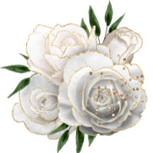 Cor Vermelha Simples