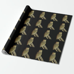 Papel De Presente Coruja-de-chifres à Noite