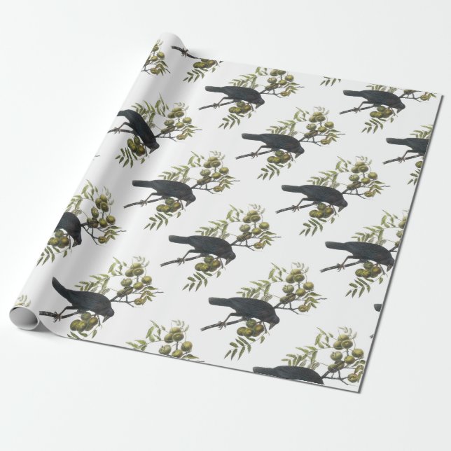 Papel De Presente Corvo americano por Audubon (Desenrolado)