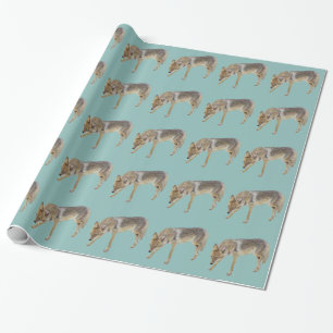 Papel De Presente Coyote