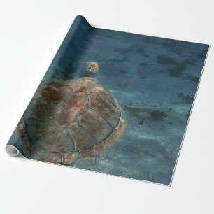 Papel De Presente Criaturas do Mar legal
