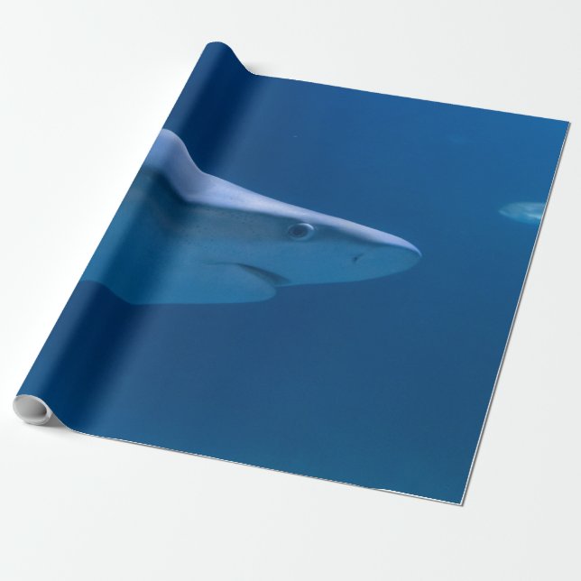 Papel De Presente Criaturas do Oceano (Desenrolado)