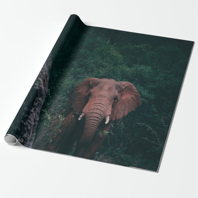PAPEL DE PRESENTE CUTE ELEPHANT (Desenrolado)