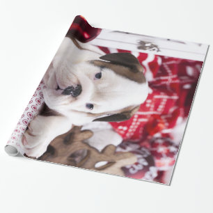 Papel De Presente Cute Puppy English Buldogue   Natal engraçado