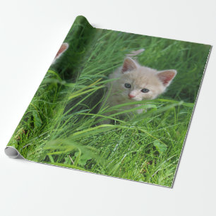 Papel De Presente Cuteness