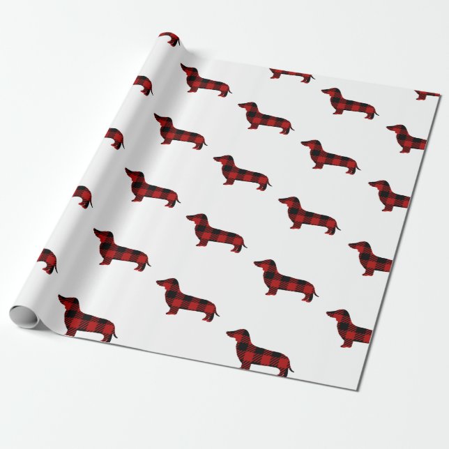Papel De Presente Dachshund da xadrez do búfalo (Desenrolado)
