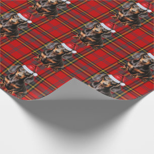 Papel De Presente Dachshund de Pelo Liso Vermelho Xadrez de Natal