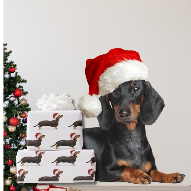 Papel De Presente Dachshund Dog Natal Santa Hat (Criador carregado)