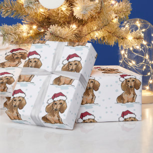 Papel De Presente Dachshund em papel de ondulação de neve