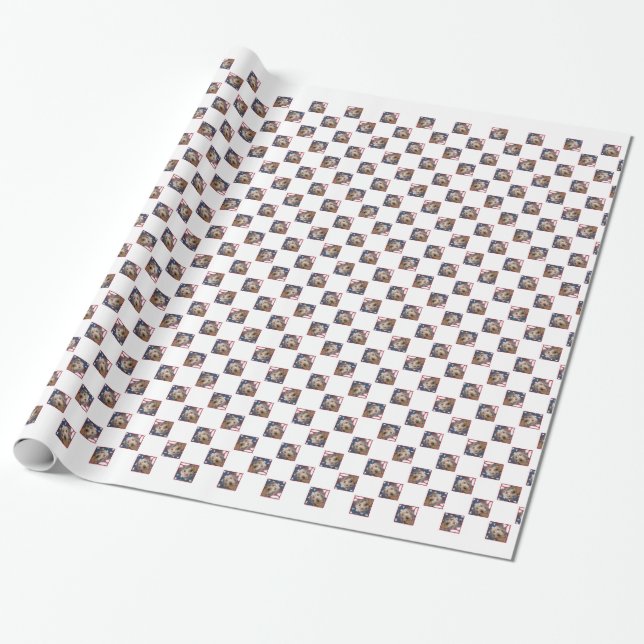Papel De Presente Dachshund Flag 2 (Desenrolado)