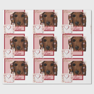 Papel De Presente Dachshund Vermelho  