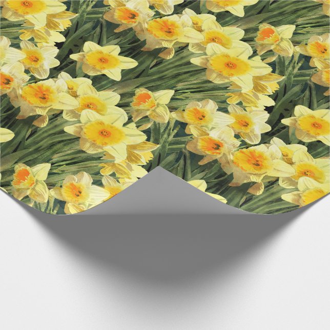 Papel De Presente Daffodils amarelos do primavera (Ponta)