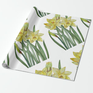 Papel De Presente Daffodils De Aquarela Ilustração De Retrato De F