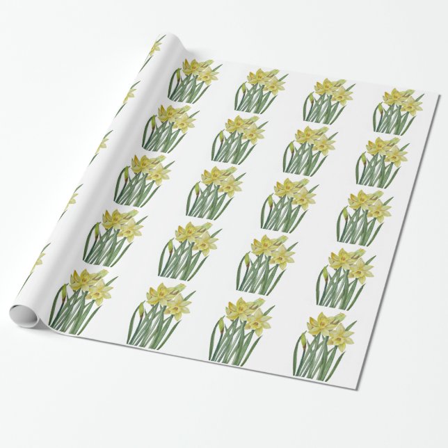 Papel De Presente Daffodils De Aquarela Ilustração De Retrato De Flo (Desenrolado)