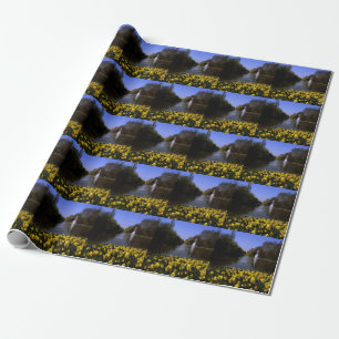 Papel De Presente Daffodils Rua James's Park London