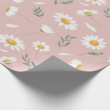 Daisy em rosa