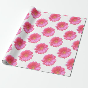Papel De Presente Daisy gerbera rosa
