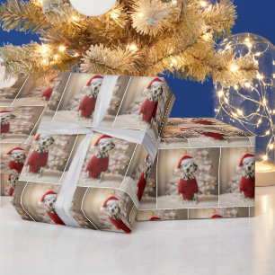 Papel De Presente Dálmata de Natal com uma Suéter Vermelha