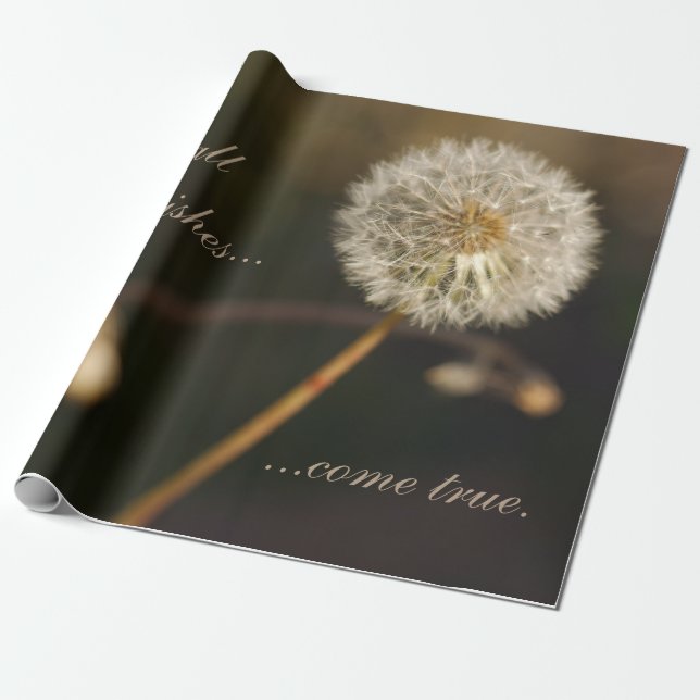 Papel De Presente Dandelion Seed Head em tons castanhos (Desenrolado)