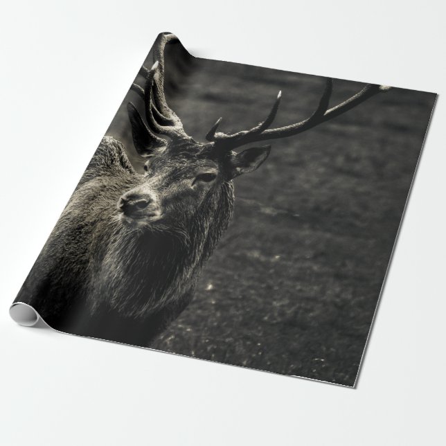 PAPEL DE PRESENTE DEER 12 POINT BUCK (Desenrolado)