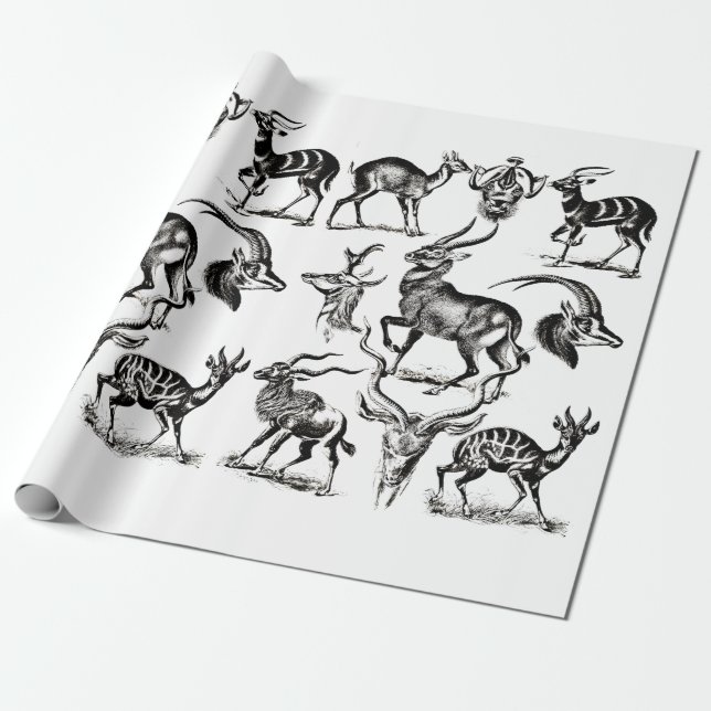 Papel De Presente Deer Buck Antelope Animals wildlife Illustrations (Desenrolado)