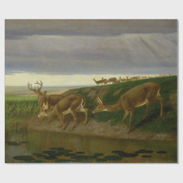 Papel De Presente Deer on the Prairie (por William Holbrook Beard)