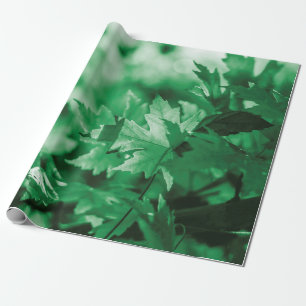 Papel De Presente Deixa a natureza verde do fundo