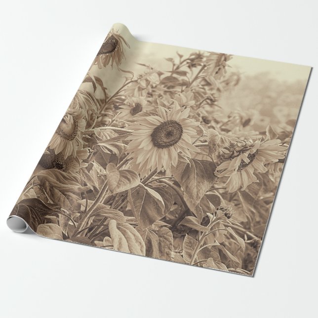Papel De Presente Desacoplamento de tonagem de Sunflower Field Vinta (Desenrolado)
