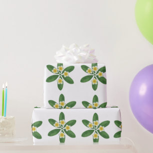 Papel De Presente Desenho de Bordado de Frangipani Botânico