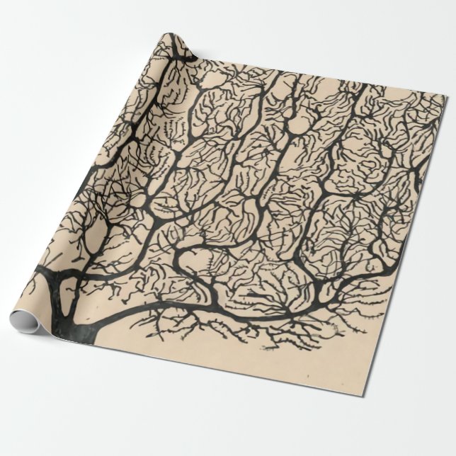 Papel De Presente Desenho De Neuron Por Santiago Ramón Y Cajal (Desenrolado)