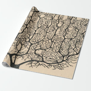 Papel De Presente Desenho Do Neurônio Por Santiago Ramón Y Cajal