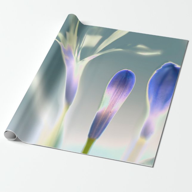 Papel De Presente Desenho Floral Lavanda Espelhante (Desenrolado)