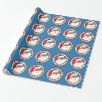 Desenhos animados pretos do papai noel (azuis)