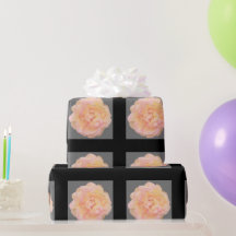 Design cor-de-rosa amarela cor-de-rosa cor-de-rosa