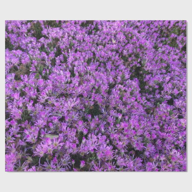 Papel De Presente Design Floral em Roxo (Aberto)