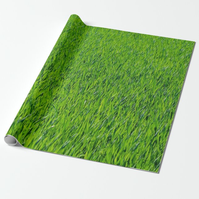 Papel De Presente Design verde (Desenrolado)