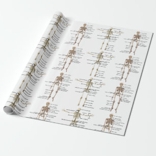 Papel De Presente Diagrama médico de esqueleto humano da anatomia