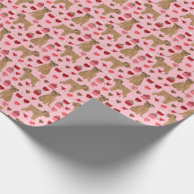 Dias de os namorados de Amor em Bruxelas Griffon