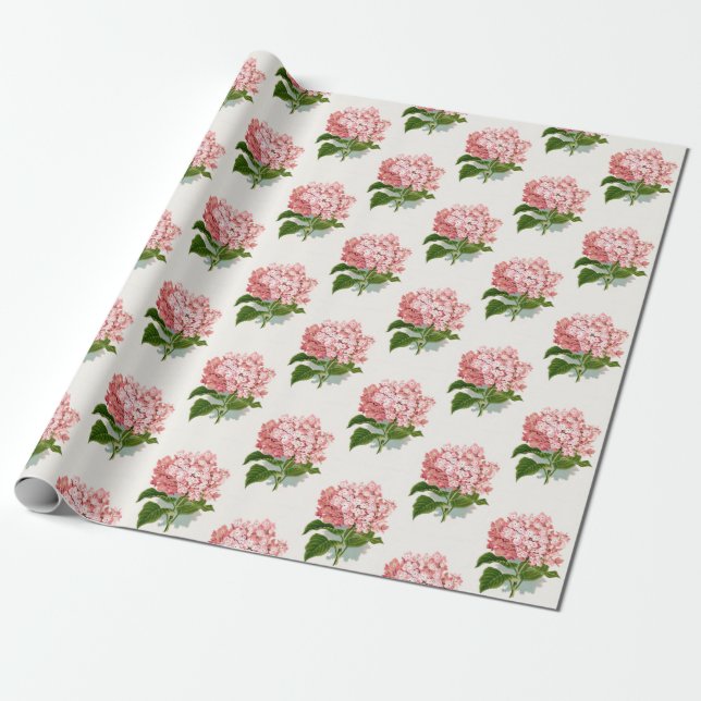 Papel De Presente Dif. Pink Hidrangea Padrão Floral Dif. (Desenrolado)