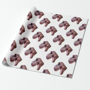 Papel De Presente Dinossauros T-Rex