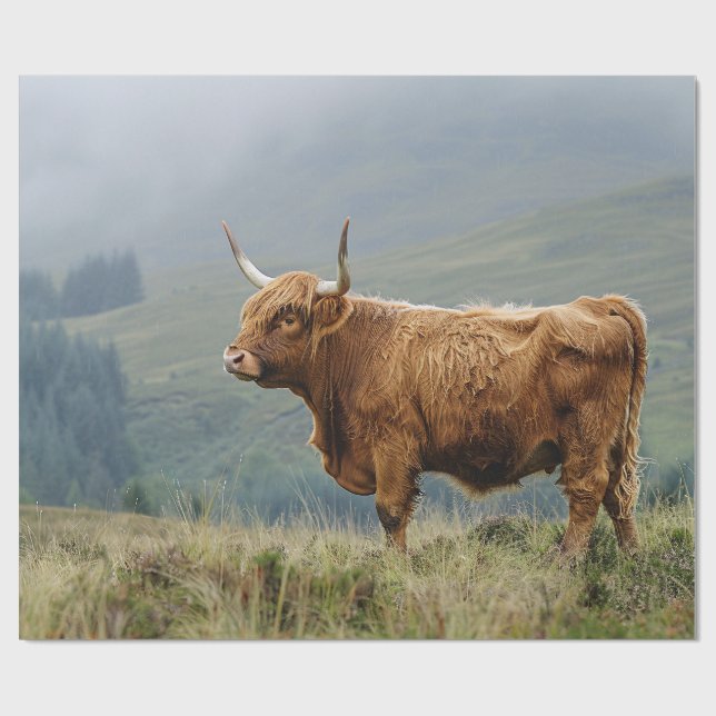 Papel De Presente Dissociação da Manhã de Mistura em Highland Cow (Aberto)