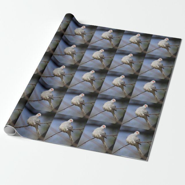 Papel De Presente Doce Bela Doente de Diamante (Desenrolado)