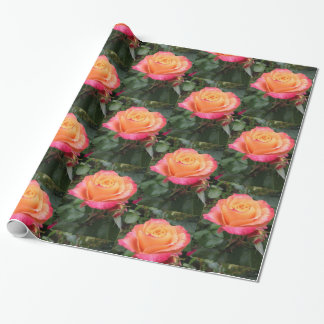 Papel De Presente Doce de Peachy Rosa