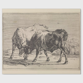 Papel De Presente Dois Bulls de Combate (por Paulus Potter)