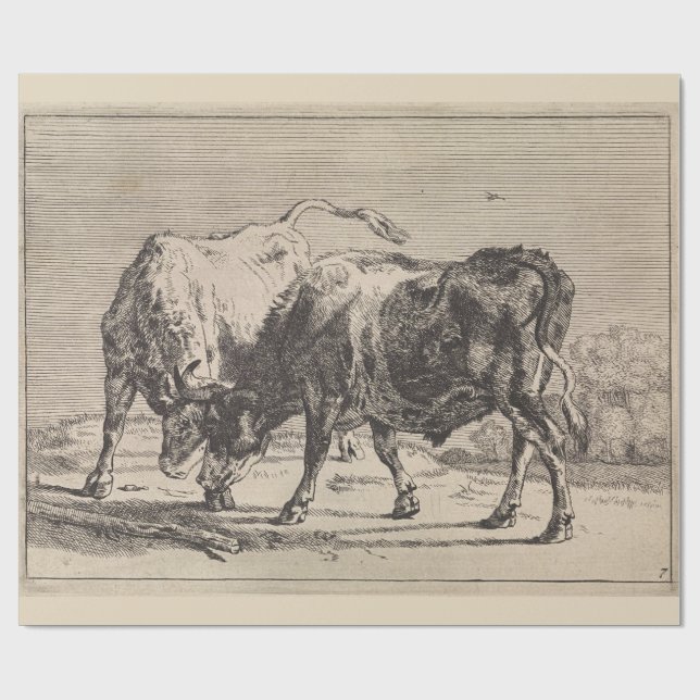 Papel De Presente Dois Bulls de Combate (por Paulus Potter) (Aberto)